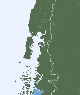 Niederschlagsprognose
