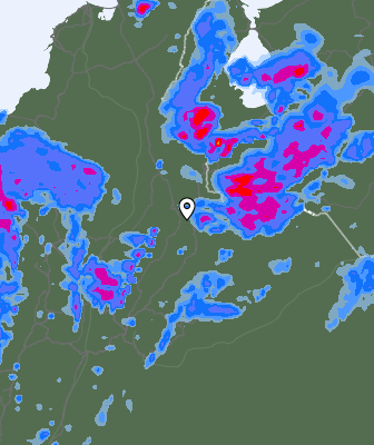 Niederschlagsprognose
