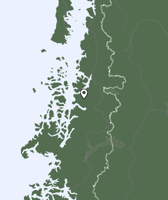 Niederschlagsprognose