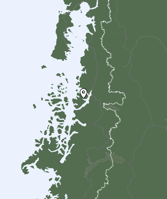 Niederschlagsprognose