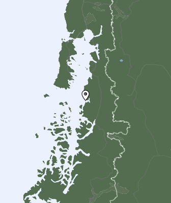 Niederschlagsprognose