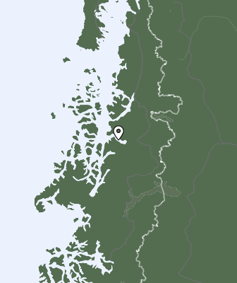 Niederschlagsprognose