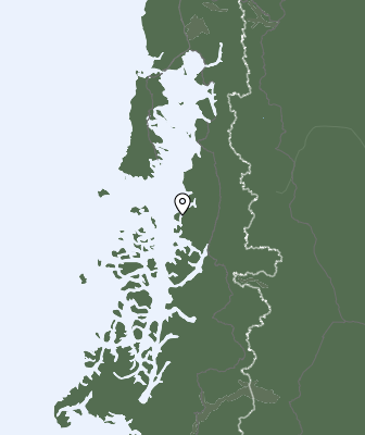 Niederschlagsprognose