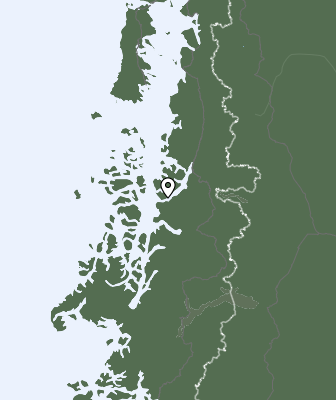 Niederschlagsprognose