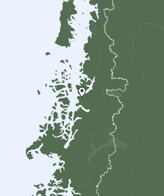 Niederschlagsprognose