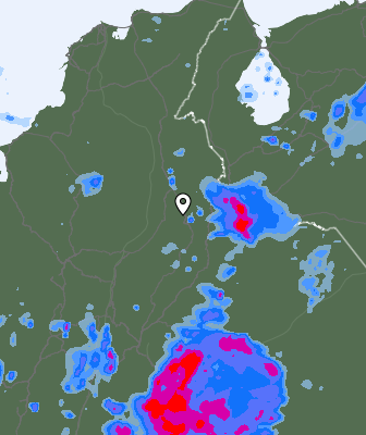 Валежи