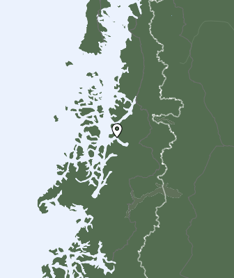 Niederschlagsprognose