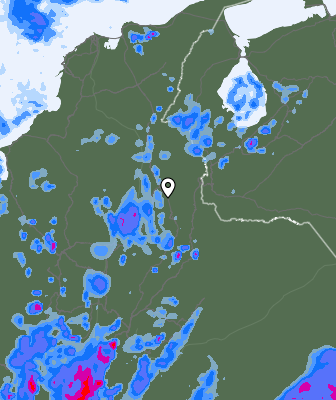Валежи