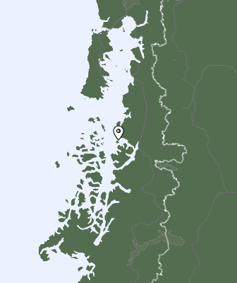 Niederschlagsprognose