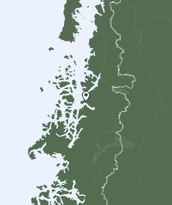 Niederschlagsprognose
