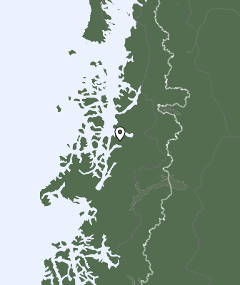 Niederschlagsprognose