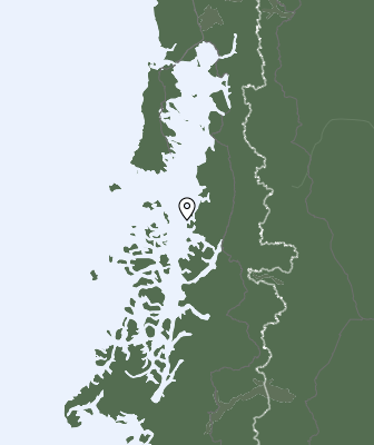 Niederschlagsprognose