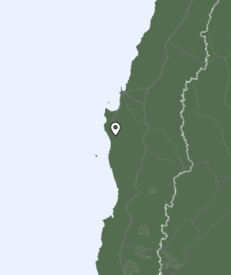 Niederschlagsprognose