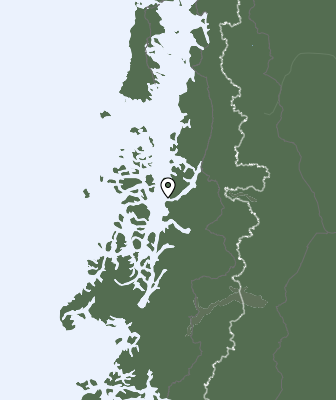 Niederschlagsprognose