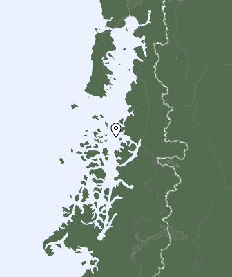 Niederschlagsprognose