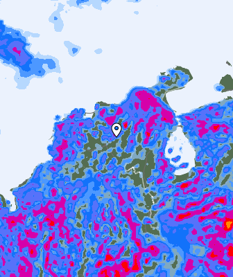 Валежи
