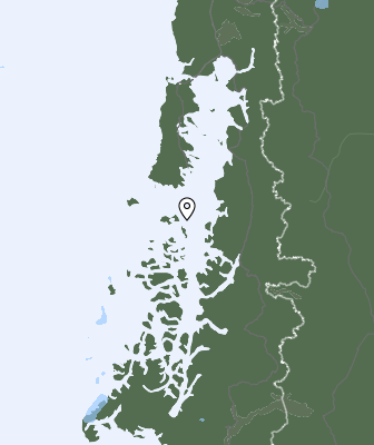 Niederschlagsprognose