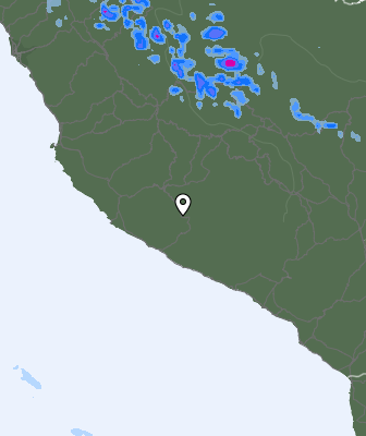 Валежи