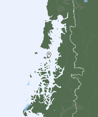 Niederschlagsprognose