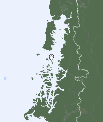 Niederschlagsprognose