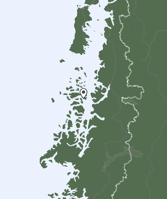 Niederschlagsprognose