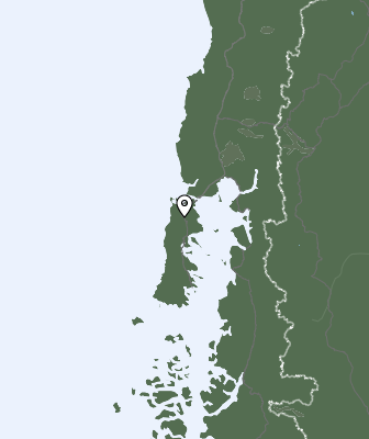 Niederschlagsprognose
