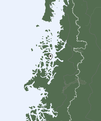 Niederschlagsprognose