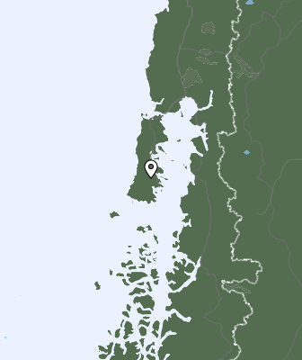 Niederschlagsprognose