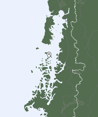 Niederschlagsprognose