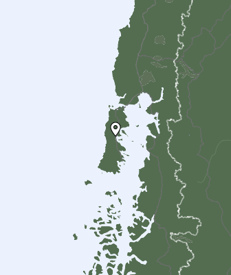 Niederschlagsprognose