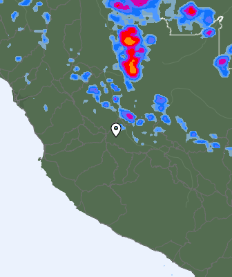 Валежи