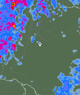 Валежи