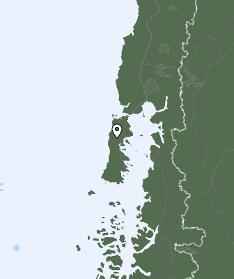 Niederschlagsprognose