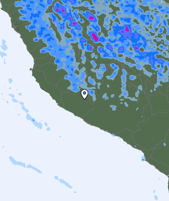 Валежи