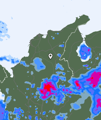 Валежи