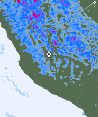 Валежи