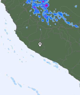Валежи