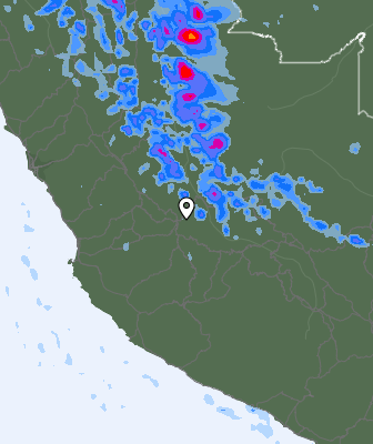 Валежи