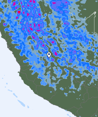 Валежи