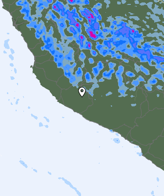 Валежи