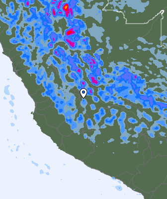Валежи
