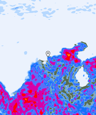 Валежи