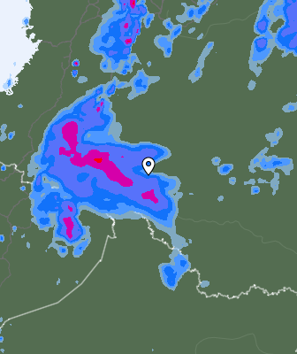 Валежи
