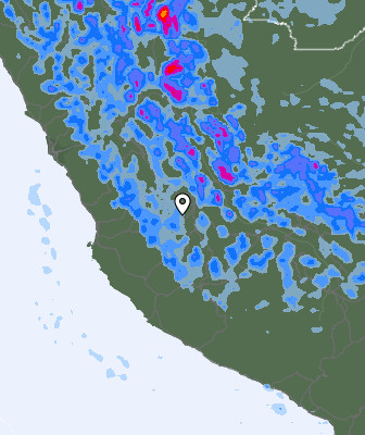Niederschlagsprognose