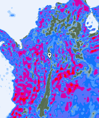 Precipitazioni