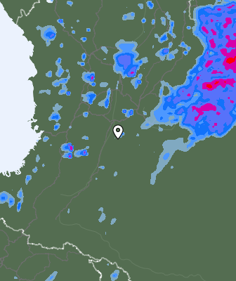 Валежи