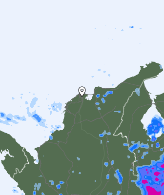 Валежи