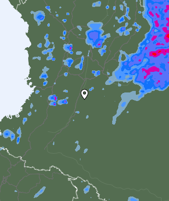 Валежи