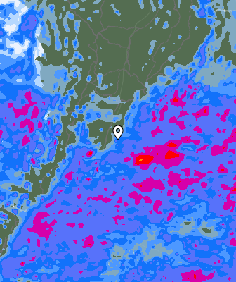Precipitazioni