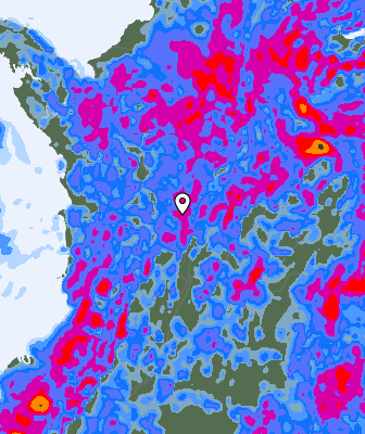 Валежи